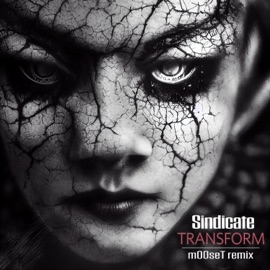 Transform (m00seT Remix) Sindicate