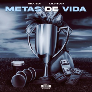 Metas de Vida