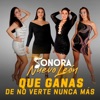 Que Ganas de No Verte Nunca Más - Single