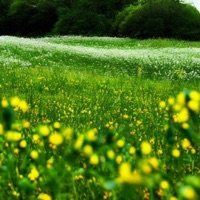 Company - Single - Skeet & Threats