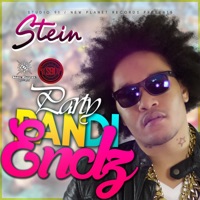 Party Pan Di Endz - Single - Stein