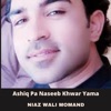 Ashiq Pa Naseeb Khwar Yama - Single