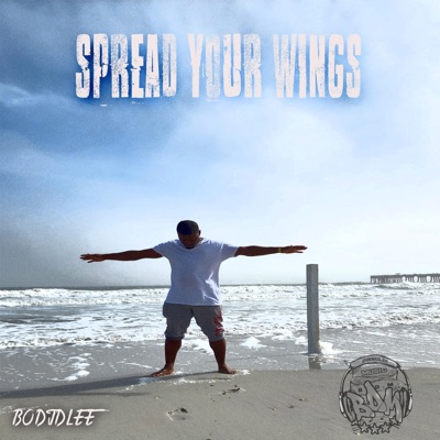 SPREAD YOUR WINGS (feat. LAMANI, DJ NEW ERA & COOL B) [Radio Edit] - Single