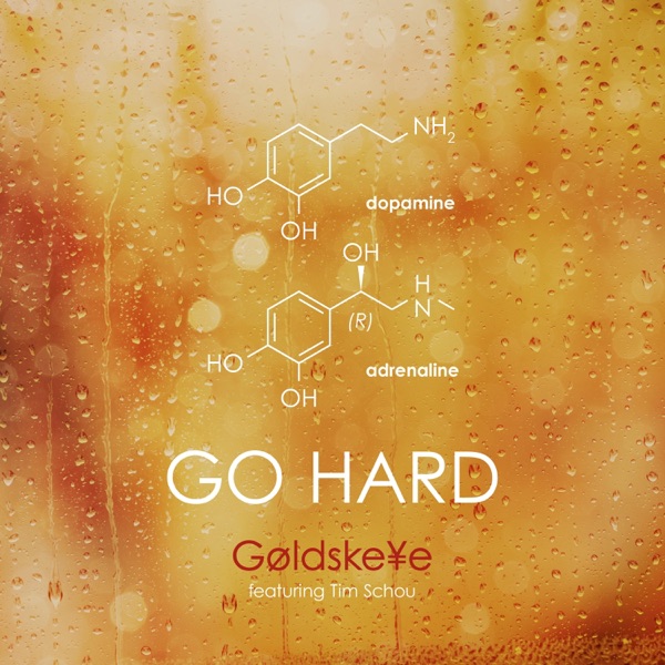 Go Hard (feat. Tim Schou)