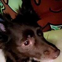 Summer In NY (Sped Up) - Single - LOSTBOYKURI