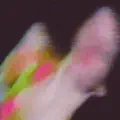 Be