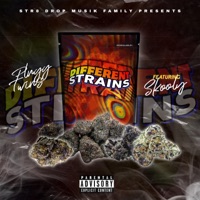 Different Strains (feat. Skooly) - Single - Plugg Twinz