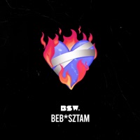 Beb*sztam - Single - BSW