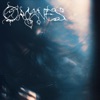 organes - Single