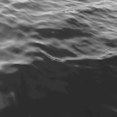 Concious Conciouness - Single