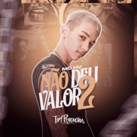 Não Deu Valor 2 - Single - MC HV