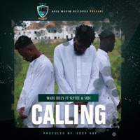 Calling (feat. Slytee & Sidi) - Single - Wade Bills