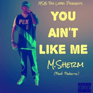 You Ain't Like Me (feat. Fedarro)