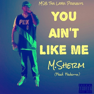 You Ain't Like Me (feat. Fedarro) - Single