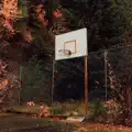 Autumn Theory