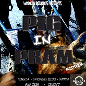 Pig in Pram Riddim (Instrumental)