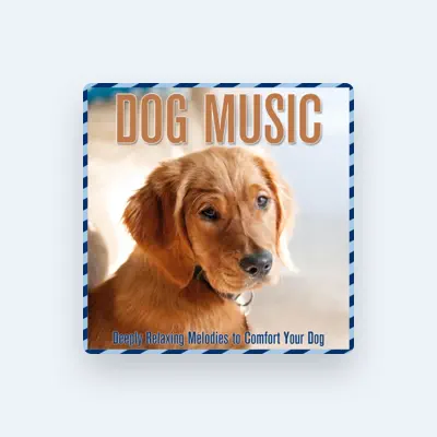Listen to Brain Power Flow, watch music videos, read bio, see tour dates & more!