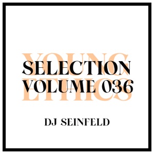 Young Ethics Selection, Vol. 036 (DJ Mix)