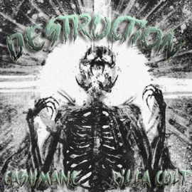 Destruction CA$hMANE