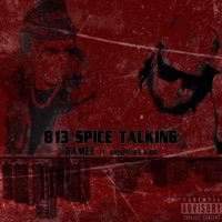 813 SPICE TALKNG (feat. KrispyLife Kidd) - Single - DAMEE