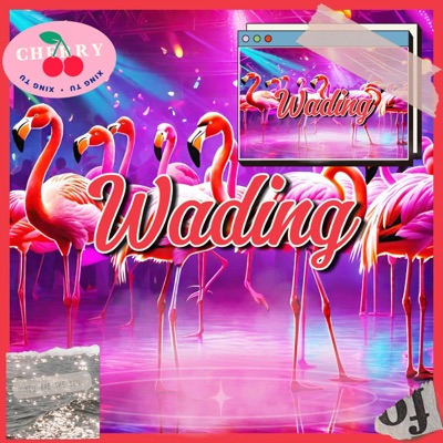 Wading - Single
