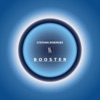 Booster - Single