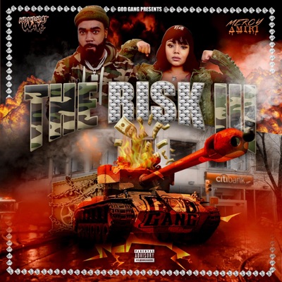 The Risk 3