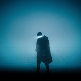 Remedy (feat. jéger) Tryptamind