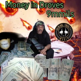 Money In Droves 9mmils
