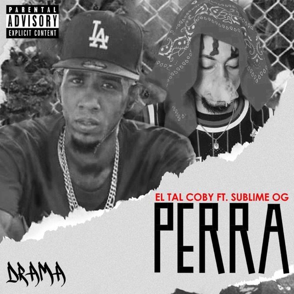 Perra (feat. Sublime OG)