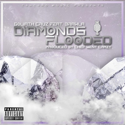Diamonds Flooded (feat. Brawla) - Single