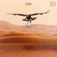 mplv - Single - Fasco Fleex