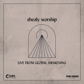 Let Me Be Found Worshipping You (Live) artwork