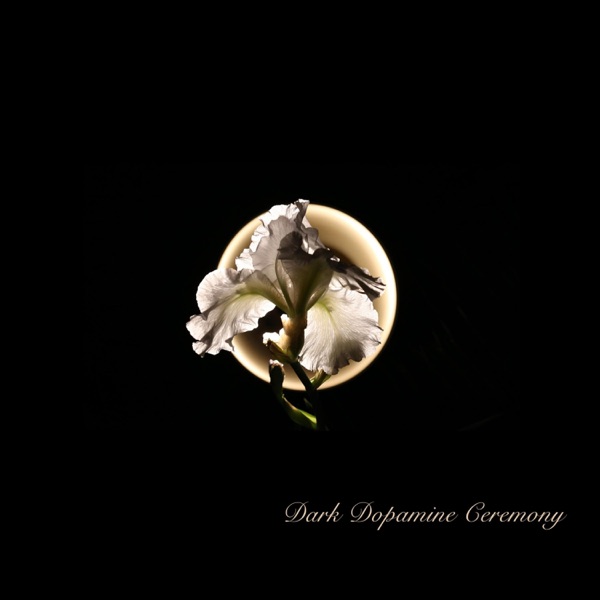 Dark Dopamine Ceremony - Single