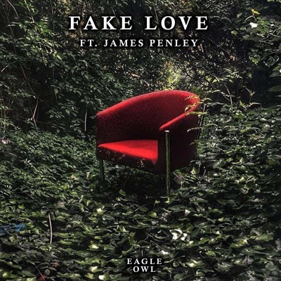 Fake Love (feat. JAMES PENLEY) - Single