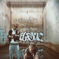 BAG (feat. Ohdassant) - Single - Big Apee