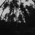 Feels Like We Never Met