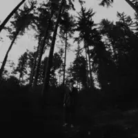 Feels Like We Never Met — Borninmay