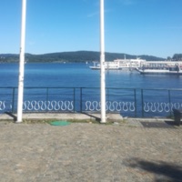 PIPPO XANAX SU UNA ESCORT - Single - XANNYxLIFE