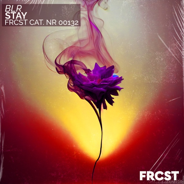 Stay - Single