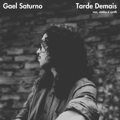 Tarde Demais (Voz, Violão & Synth) - Single