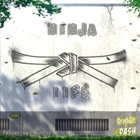 Ninja Life (feat. Aninjawithapencil) - Single - Shock & Dash