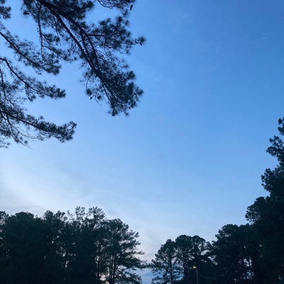 Sinning Freestyle - Single