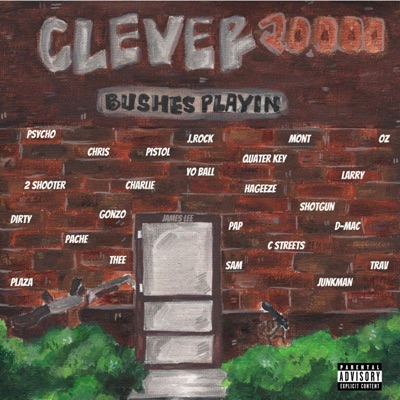 Bushes Playin (James Lee)