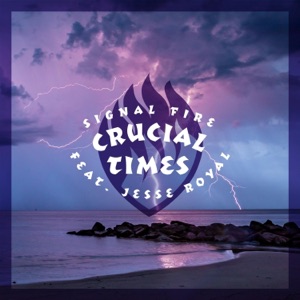 Crucial Times (feat. Jesse Royal) - Single