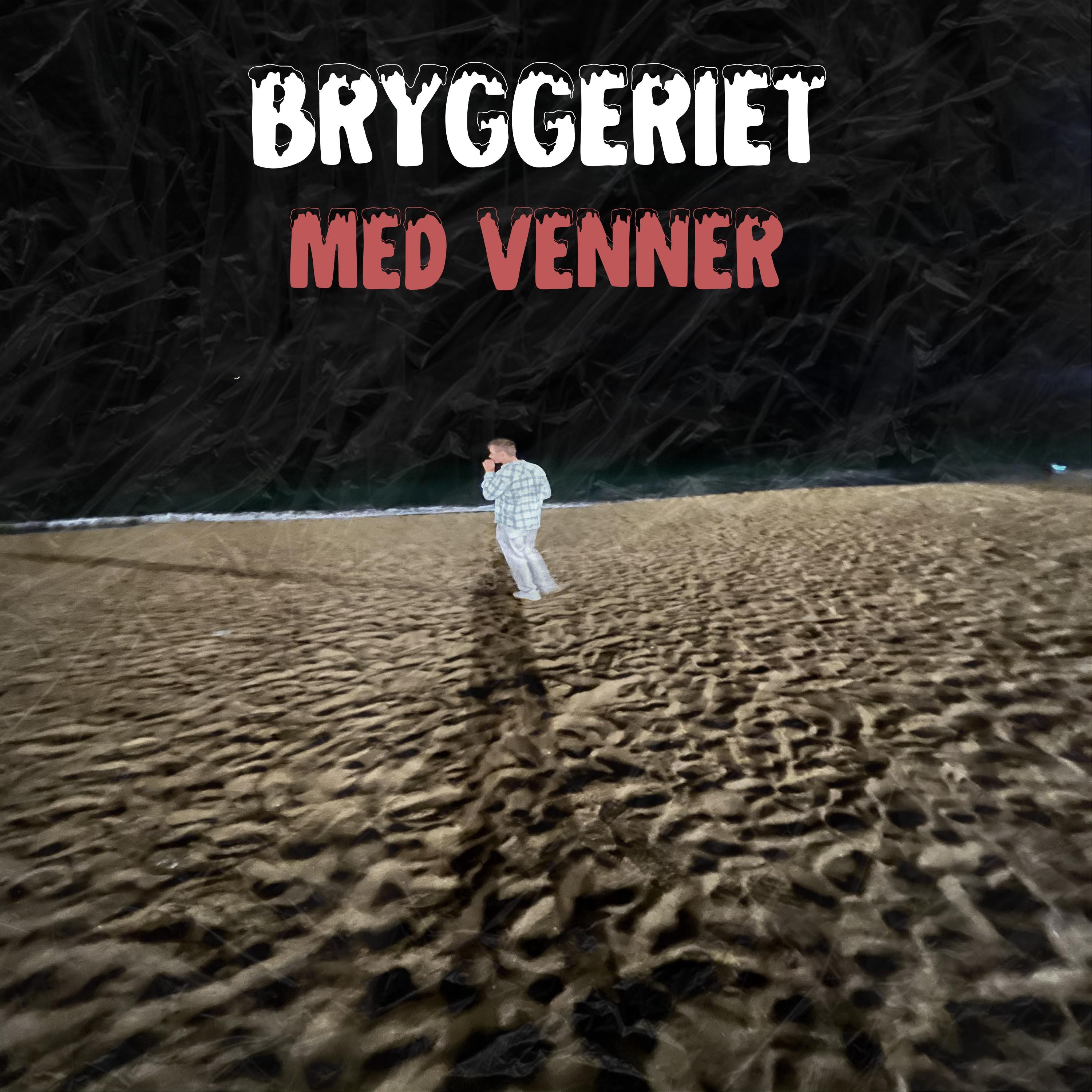 Med Venner - EP