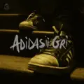 Adidasii gri