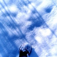 Summer's Dead (feat. Robstar & sendflowrs) - Single - Crizzy White