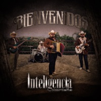 Bienvenidos - Single - Inteligencia Norteña