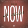Now Or Never - Remixes - Single